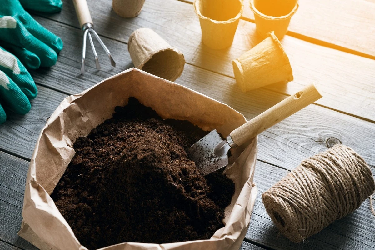 Adiós a la Turba: el error en Intratuin que daña tus plantas - image 1