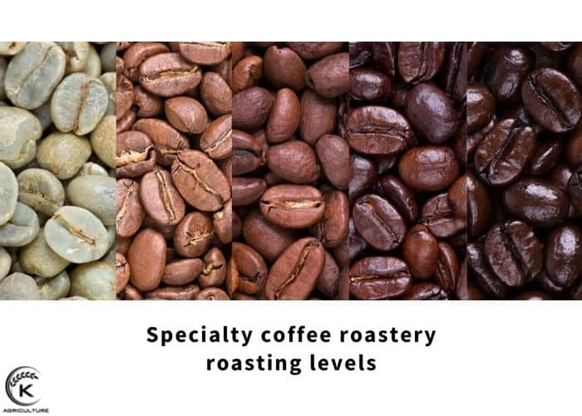 Adiós al café amargo: el secreto de Ardú y Rito para la taza perfecta - image 1