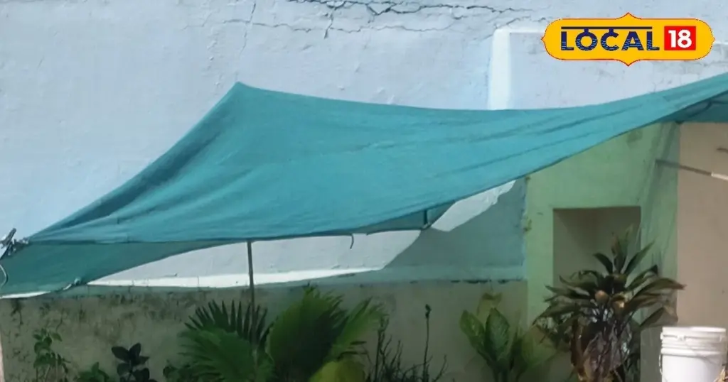 Adiós al calor en casa: el truco del techo que baja 8 grados sin usar aire