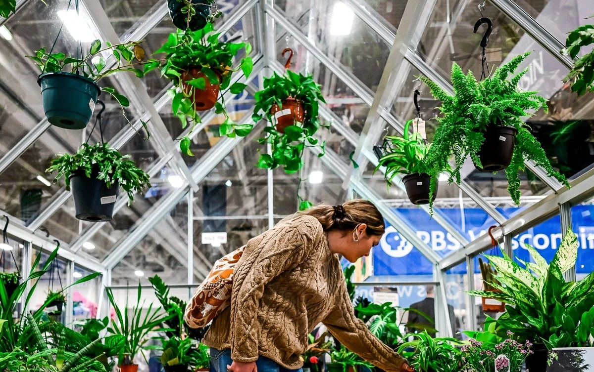 Adiós al césped: el cambio radial en Végétalys Fonsorbes para ahorrar 70% de agua - image 1