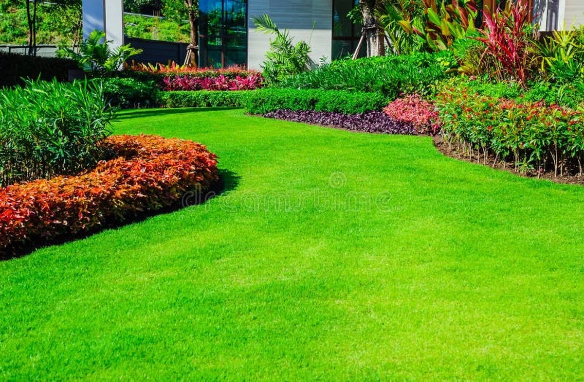 Adiós al césped seco: el truco de otoño para un jardín perfecto en 2026 - image 1