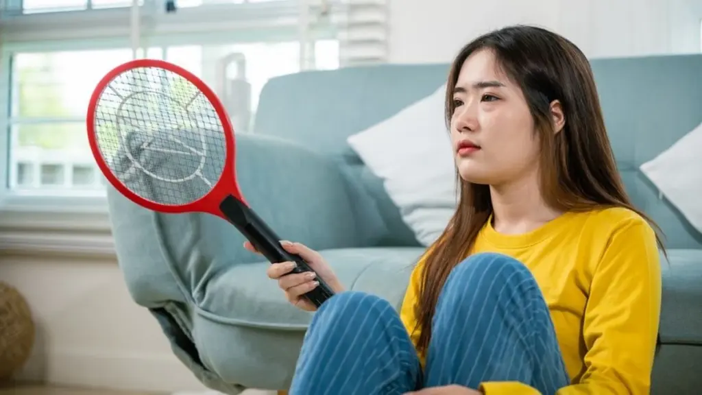 Adiós al Mosquito en el cuarto: el truco de la luz y la Red de mosquitos que salva tu sueño