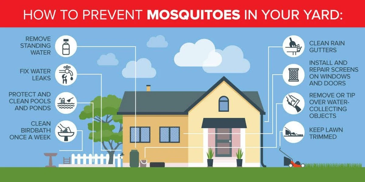 Adiós al Mosquito en el cuarto: el truco de la luz y la Red de mosquitos que salva tu sueño - image 1
