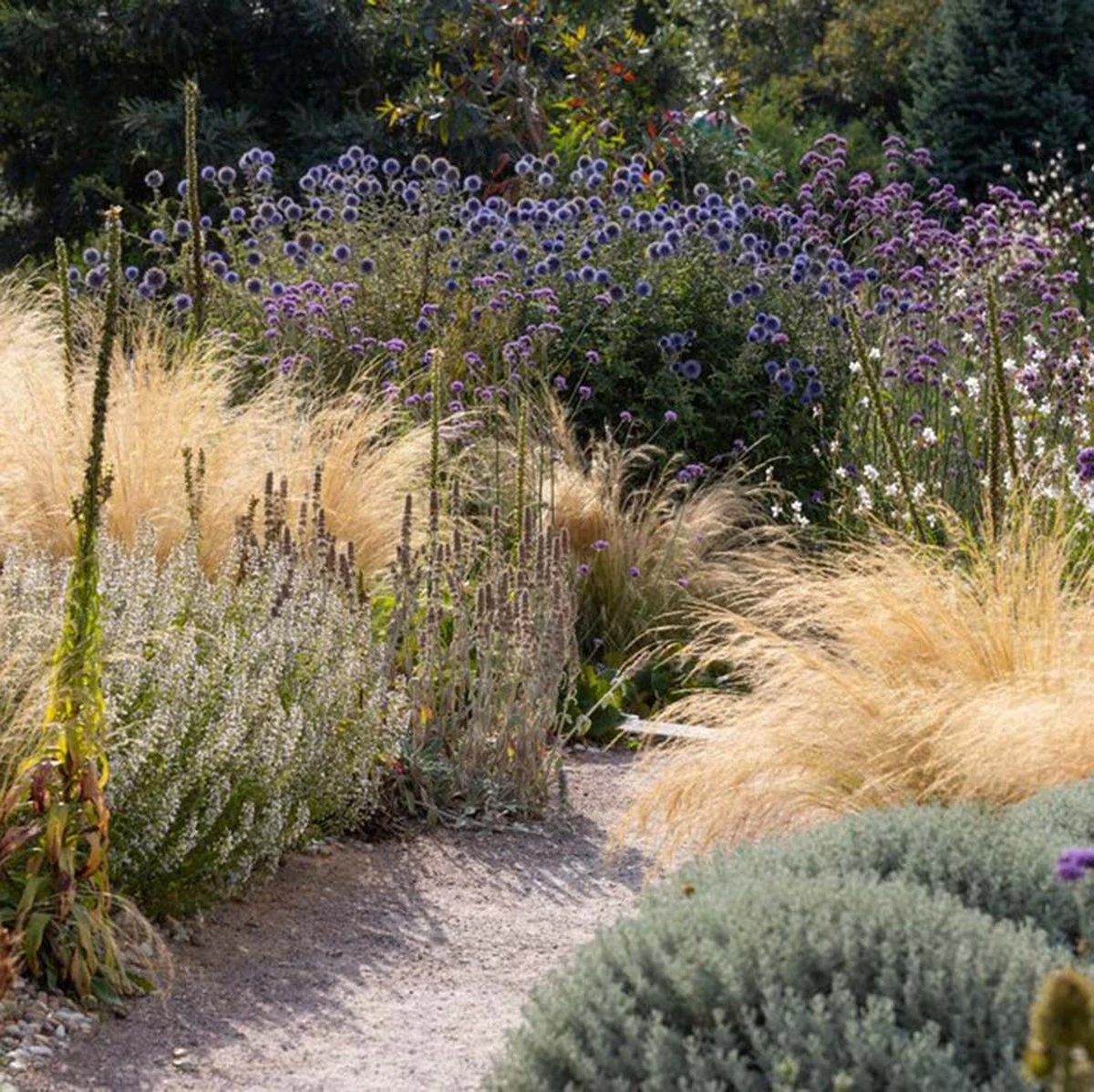 Adiós al parterre elevado: el Jardín de grava que ahorra 90% de agua - image 1
