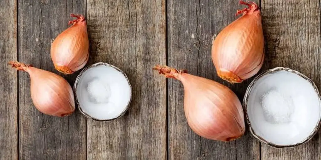 Adiós a moscas y cucarachas: el truco de la cebolla y bicarbonato de sodio