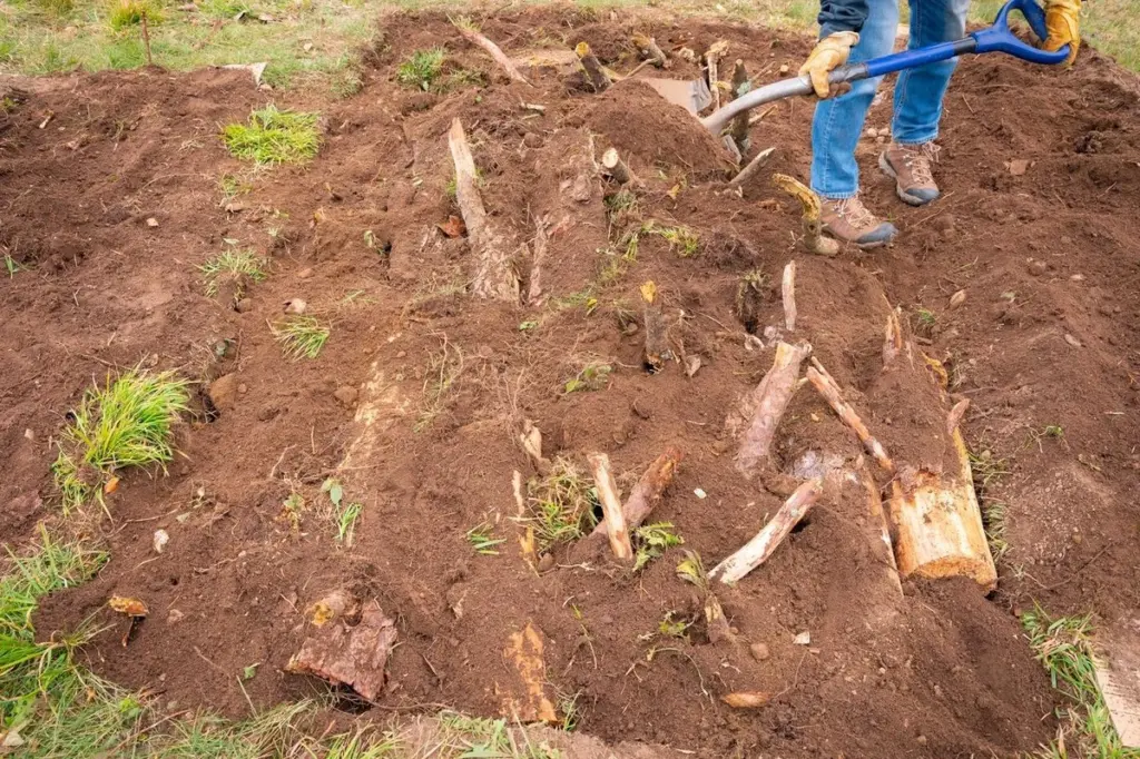 Adiós a regar: el método Hügelkultur y la Permacultura para cosechar sin agua