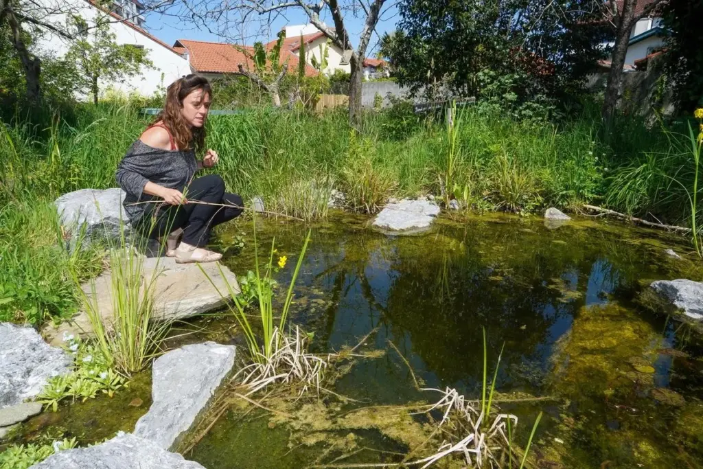 Adiós mosquitos: el truco de Charlotte Mulet y Bio Divers Cité para tu jardín