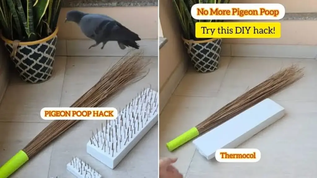 Adiós palomas: el truco de 5 minutos en el balcón con una escoba vieja
