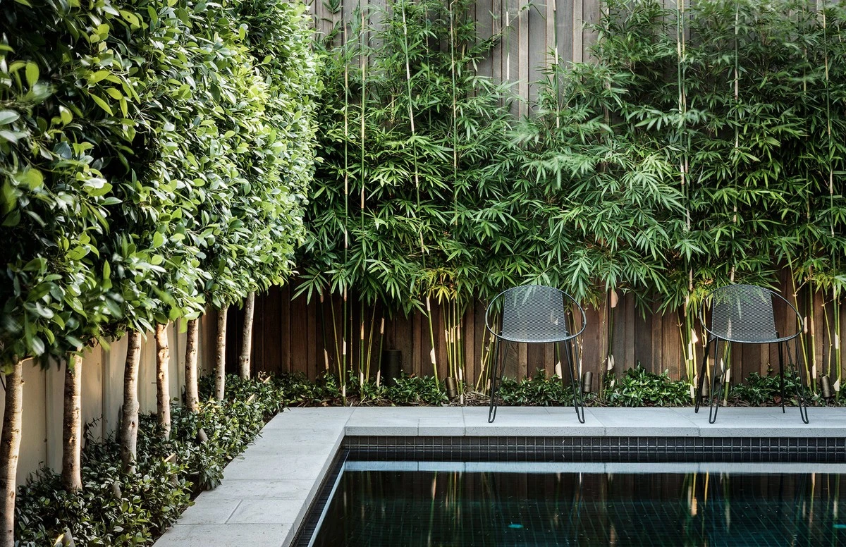 Adiós ruidos del vecino: el truco de esta propietaria de vivienda para un jardín en paz - image 1