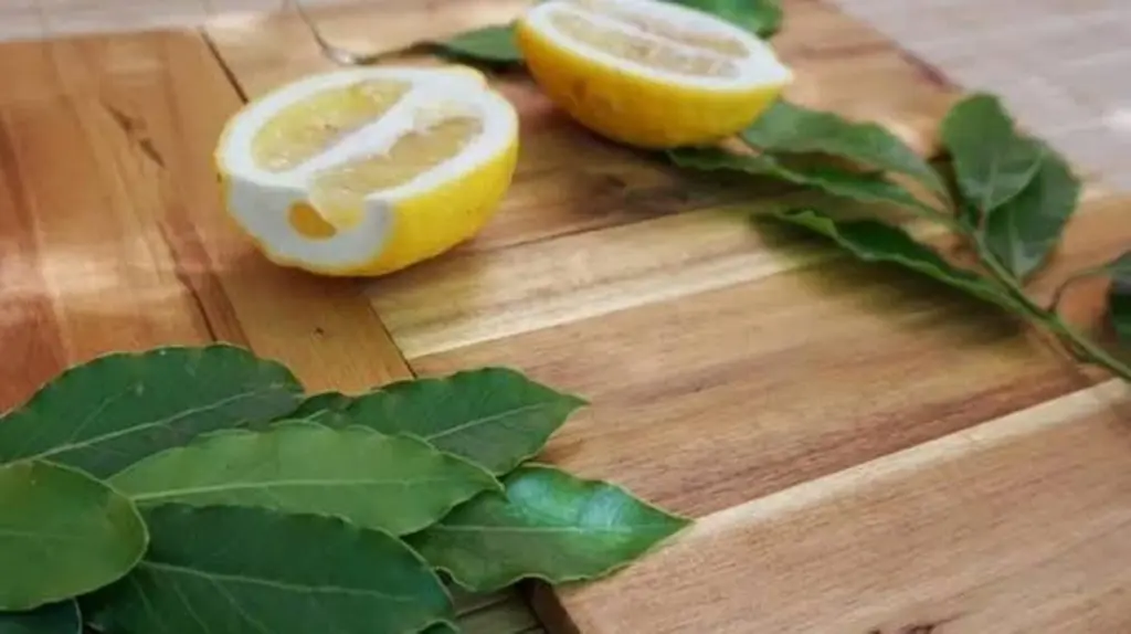 Aire pesado en casa: el truco del Limón con Hoja de laurel para renovarlo