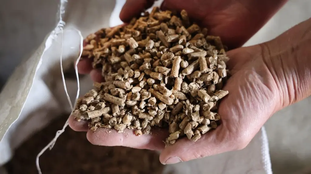 Alerta de la Anses por pellets: el peligro del monóxido de carbono en casa