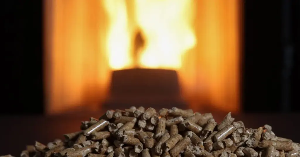 Alerta de la Anses sobre el monóxido de carbono: no guardes así los pellets