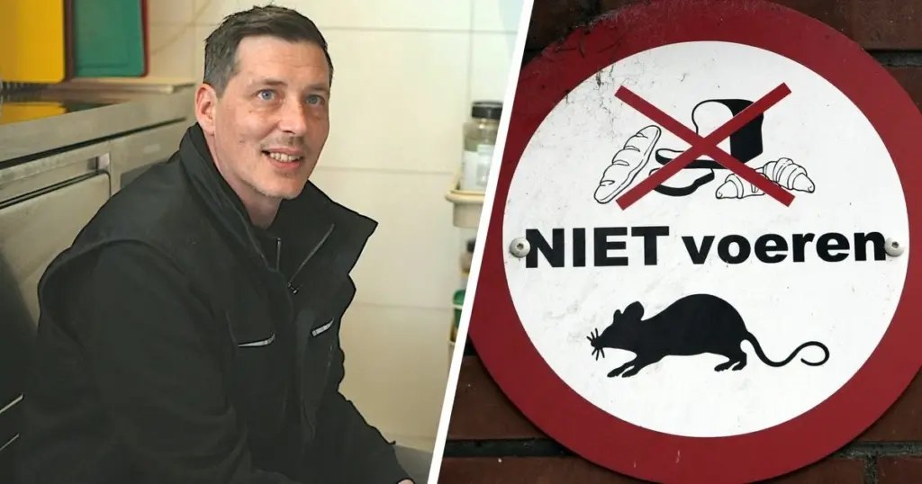 Alerta de la NVWA en restaurantes: lo que atrae a las ratas a tu mesa