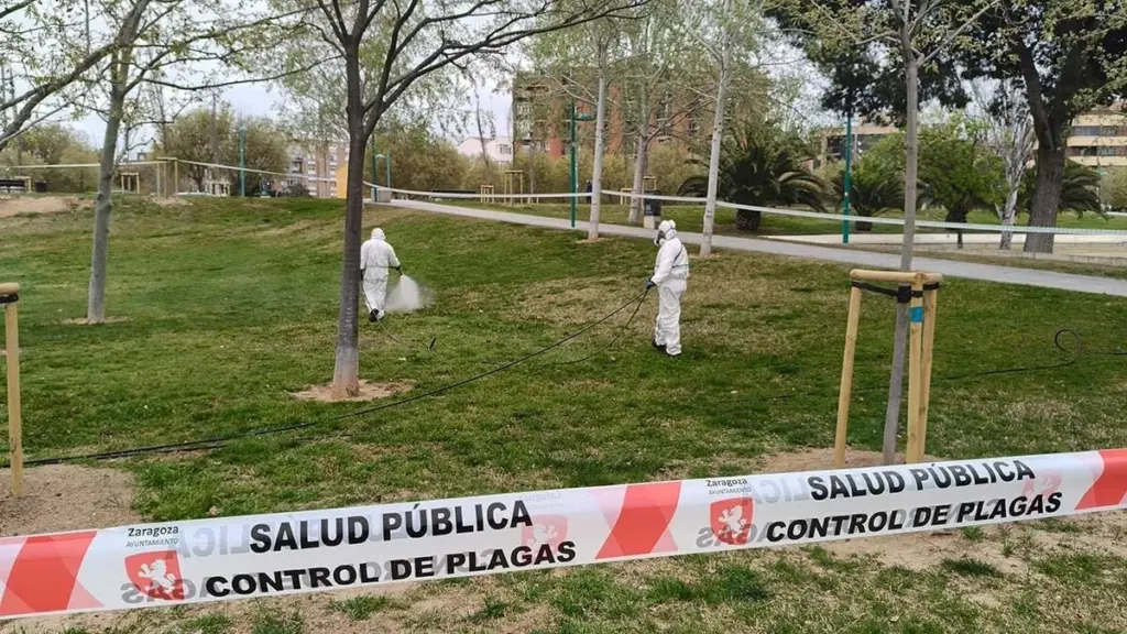 Alerta en Zaragoza: el Ayuntamiento activa este plan contra las garrapatas