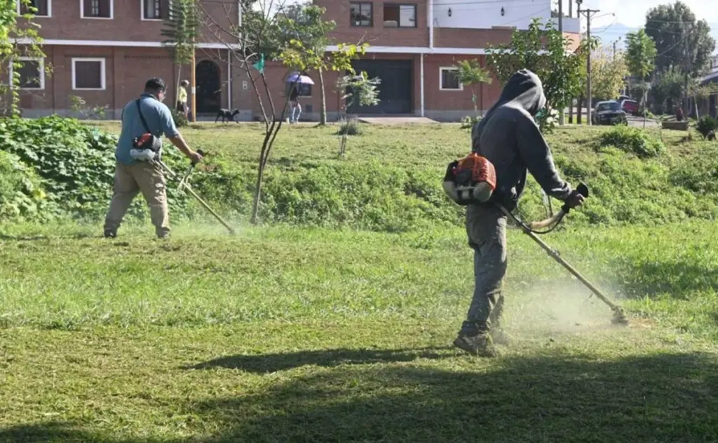 Alto Comedero sin maleza: el plan de la Municipalidad de San Salvador de Jujuy