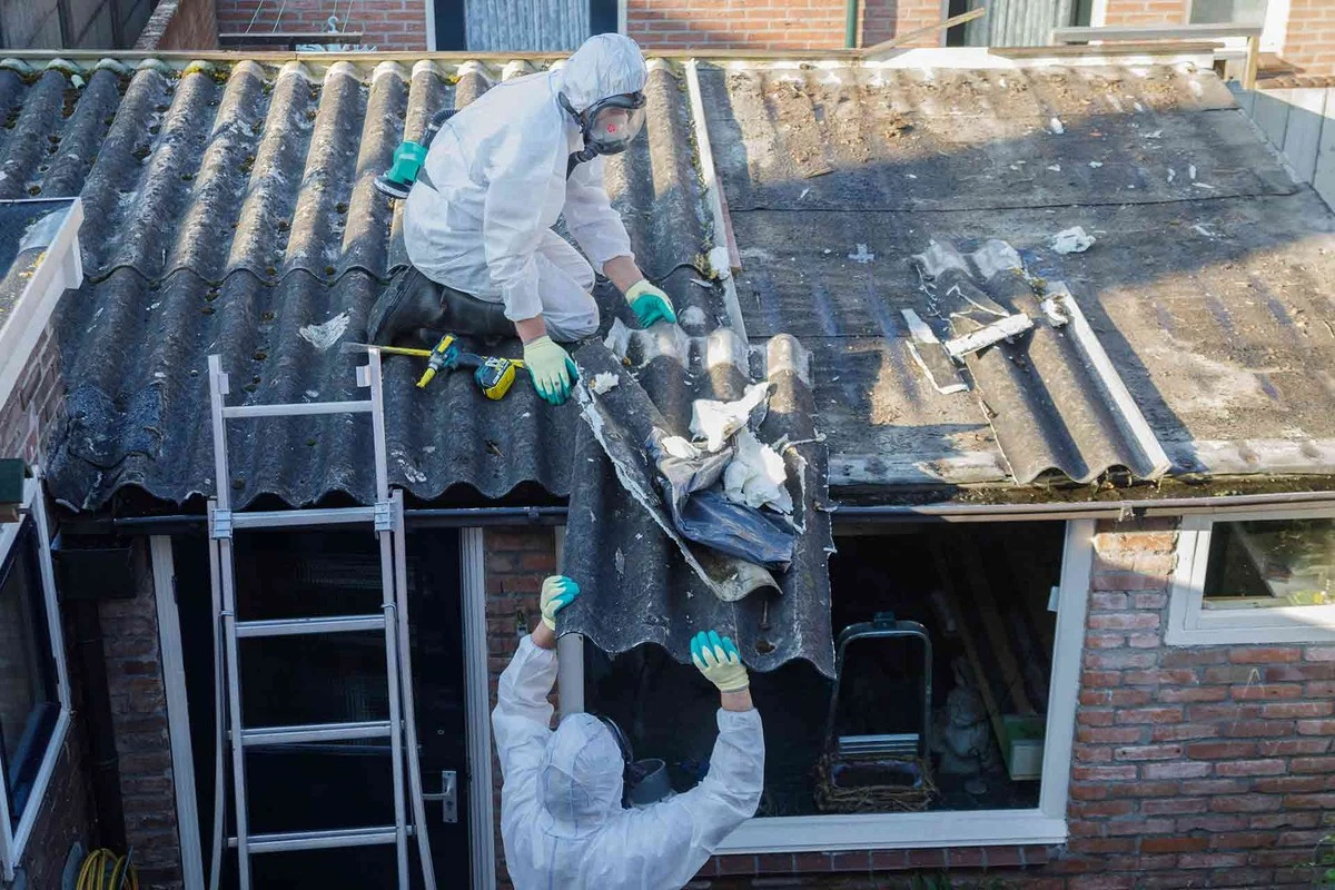 Amianto en casa: por qué el Municipio de Hof van Twente es clave hoy - image 1