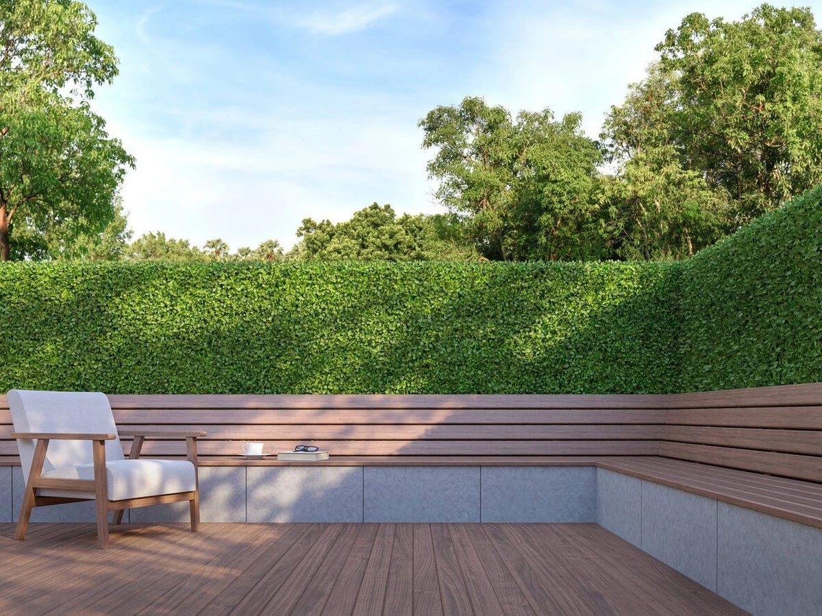Árbol de Rápido Crecimiento Transforma Tu Jardín en un Oasis de Privacidad - image 1