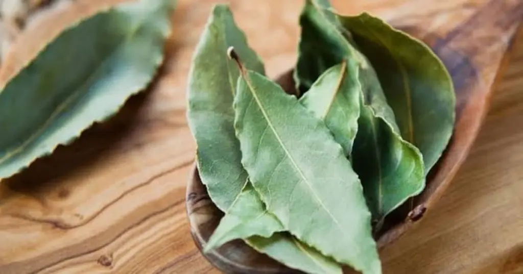 Armarios impecables: por qué uso bicarbonato de sodio y hojas de laurel