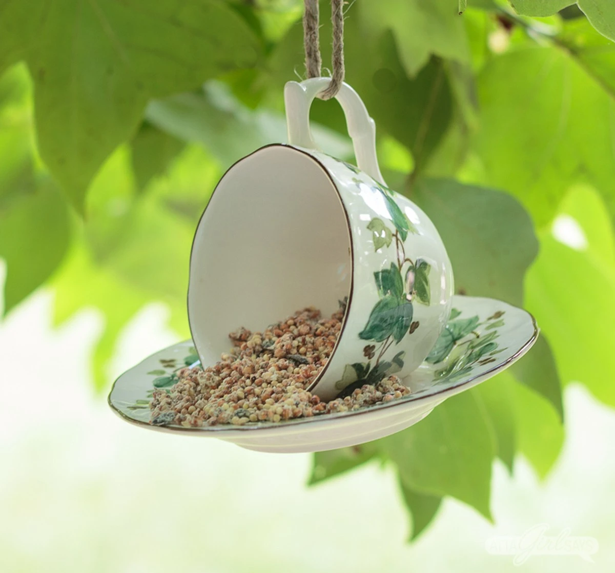 Aves en tu jardín: por qué colgar tazas viejas es el mejor Comedero para pájaros - image 1