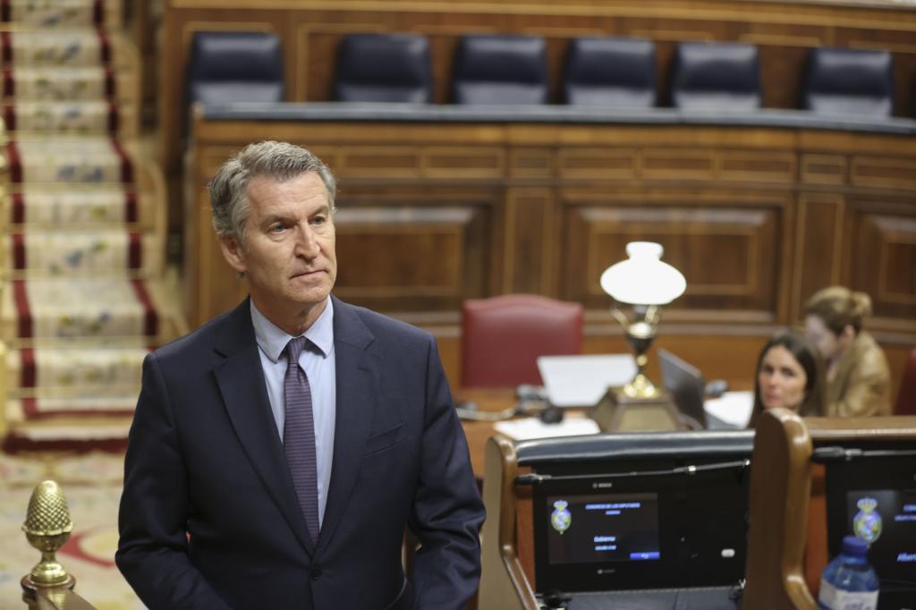 Alberto Núñez Feijóo, en el Congreso.