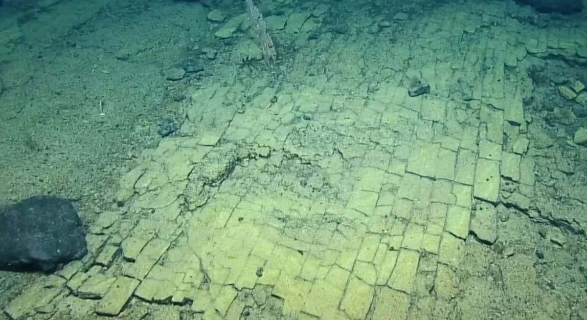 Científicos descubren "un camino de baldosas amarillas" en el fondo del océano