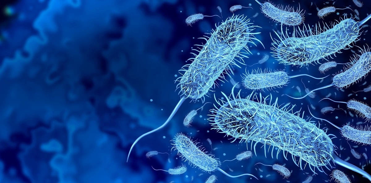 Bactera de 5.000 años resurgió del hielo con resistencia a antibióticos modernos - image 1