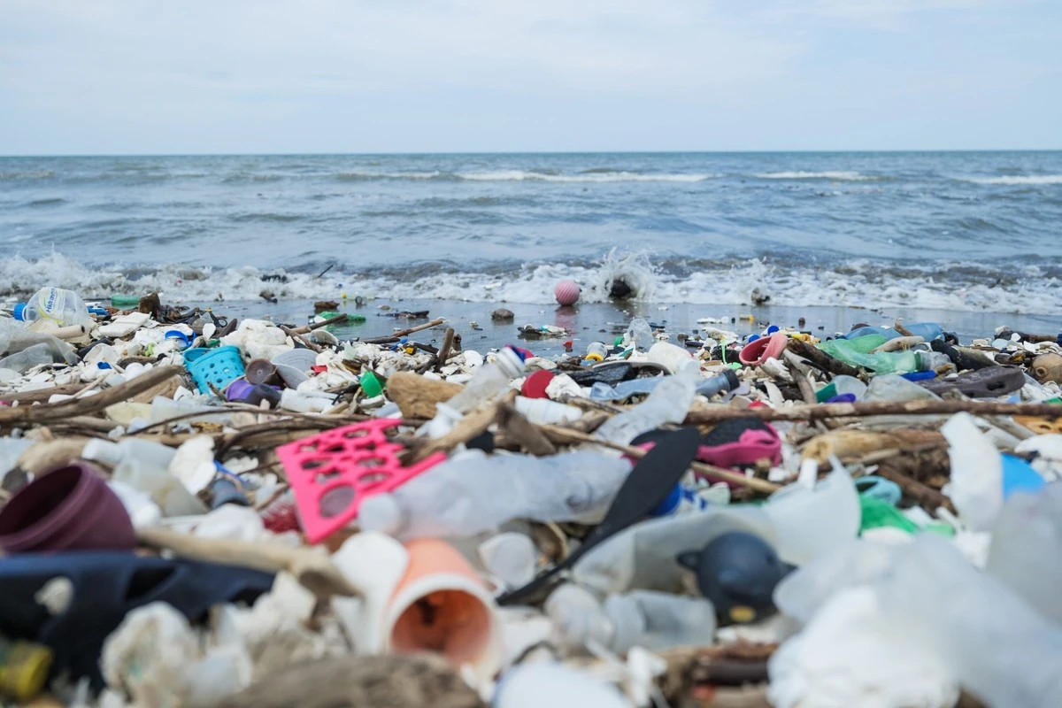 Bolsas de plástico: la lección del Ministerio de Medio Ambiente (Taiwán) para España - image 1