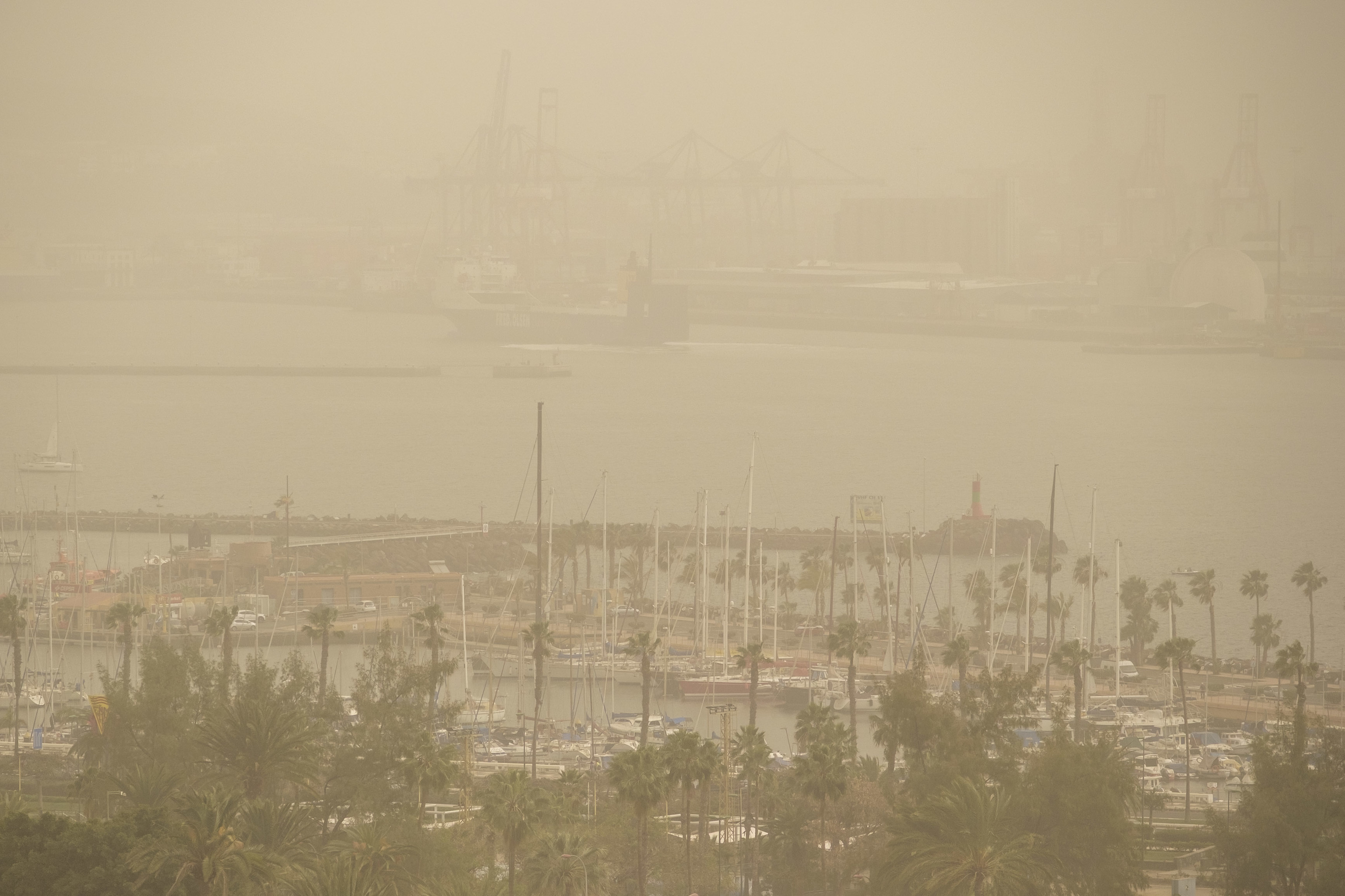 La Aemet ha activado un aviso amarillo por calima en toda Canarias.