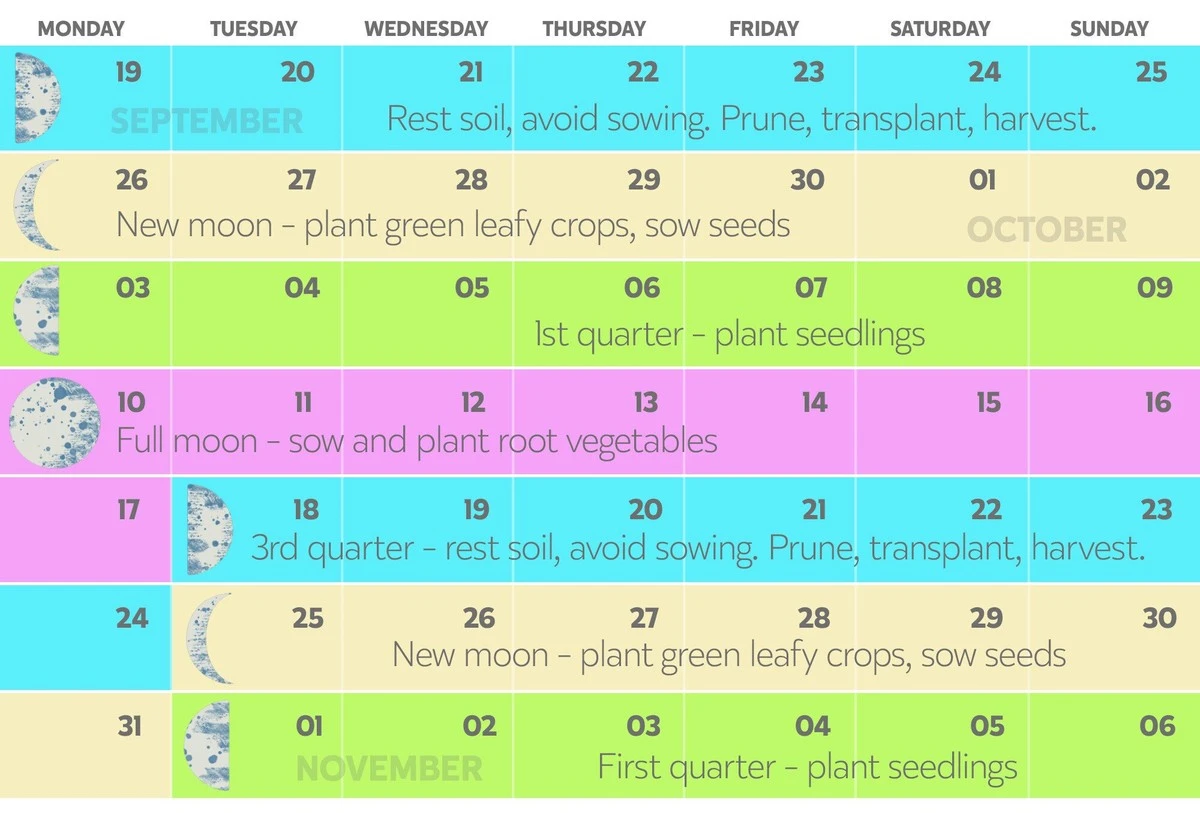 Calendario lunar de abril: los 5 días en que no debes tocar tus plantas - image 1