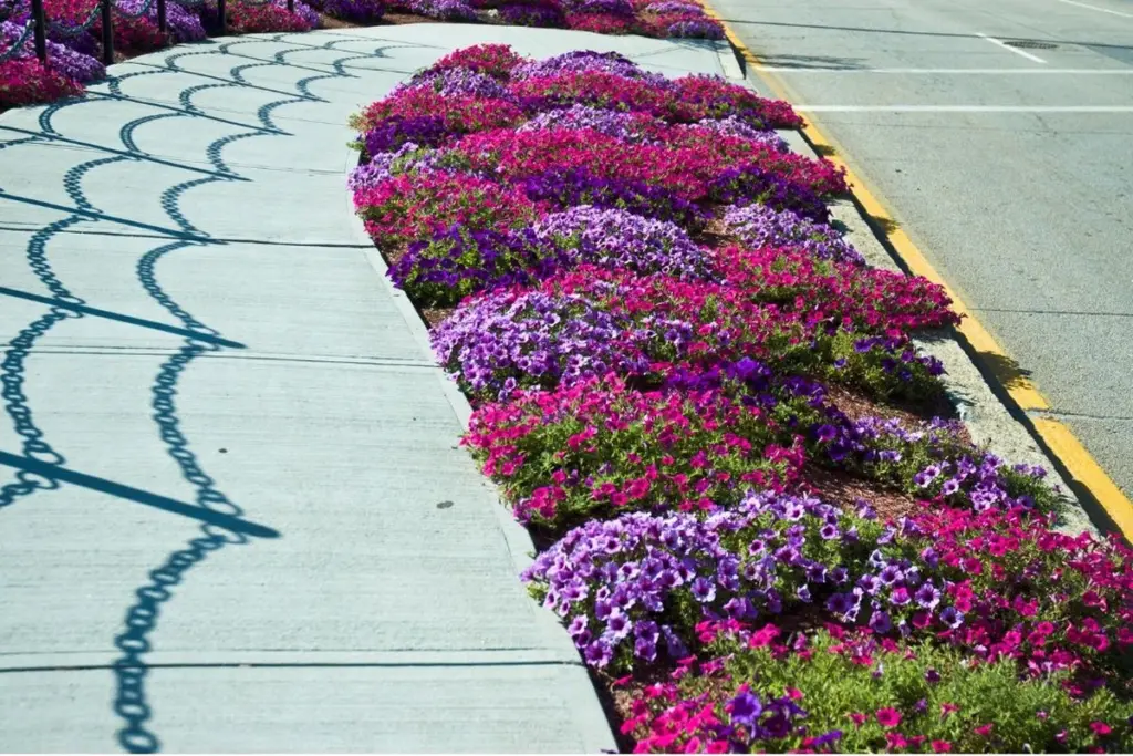 Calor en la ciudad: el secreto de Seosan y su Zona verde lineal (Tti-nokji)