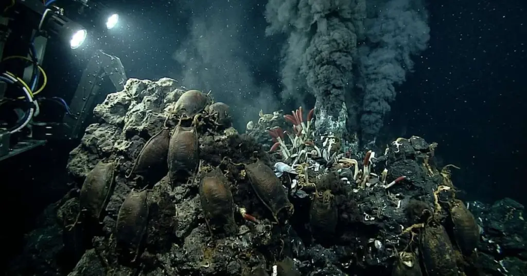 Casi 1 millón de huevos: hallan un criadero de rayas en un volcán submarino