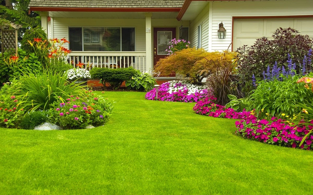 Césped perfecto en Abril: el truco de Whitehall Garden Centre para borrar calvas - image 1