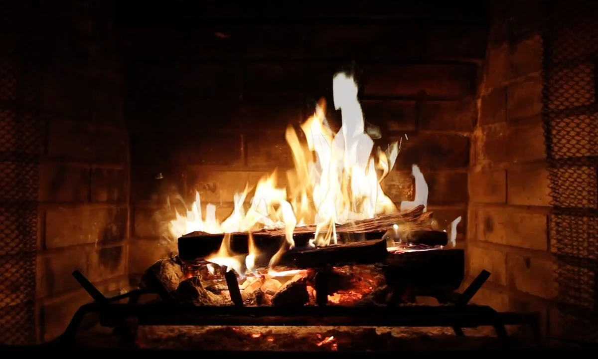 Chimenea limpia y sin hollín: por qué quemar este residuo en tu chimenea de humos - image 1