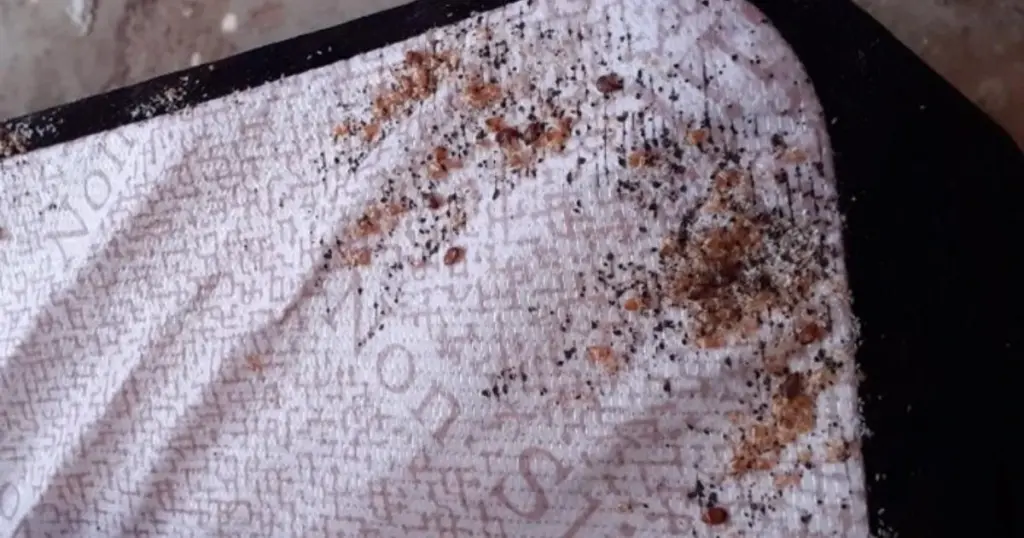 Chinches de cama (Cimex lectularius): el aviso del Consejo de Wiltshire para tu colchón
