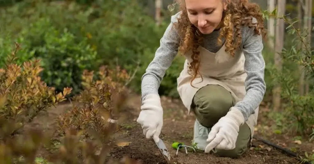 Cosecha récord de Pepinos en tu Jardín: por qué nunca debes plantarlos antes de mayo