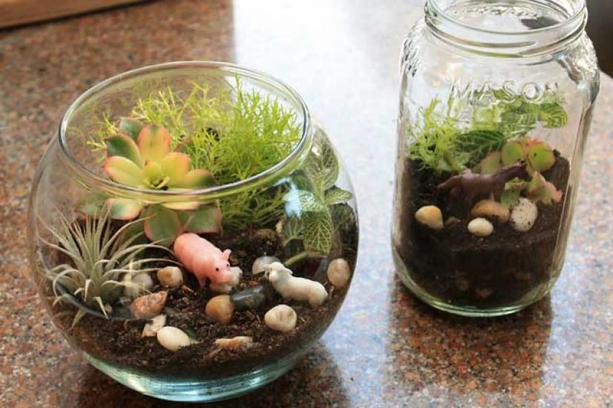 Crea tu Terrario: el secreto para llevar la Naturaleza eterna a casa - image 1