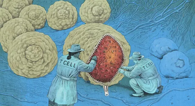 Ilustración