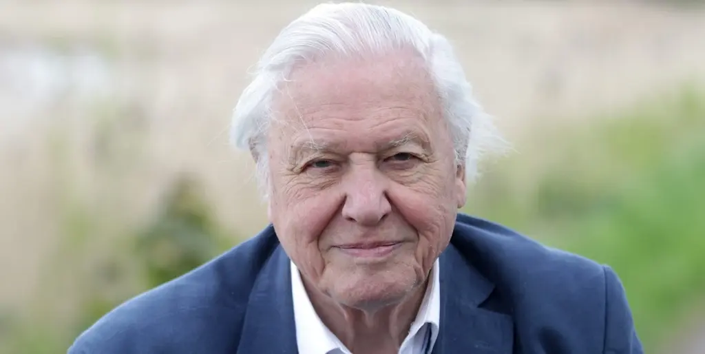 David Attenborough’s Secret Garden: el truco de 1 rincón para tu jardín