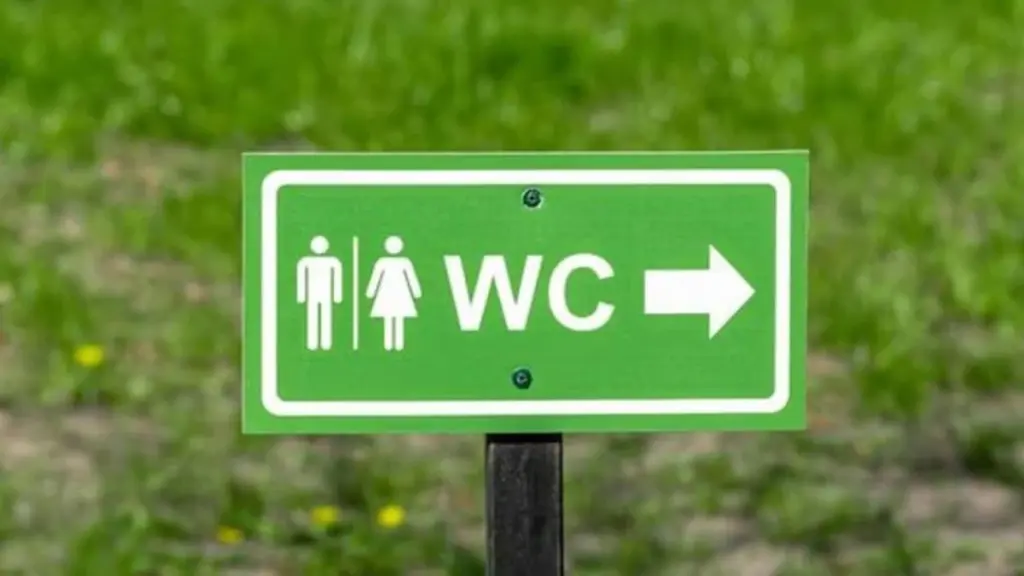 Del Water Closet al futuro: el secreto del Inodoro (WC) para ahorrar un 60%