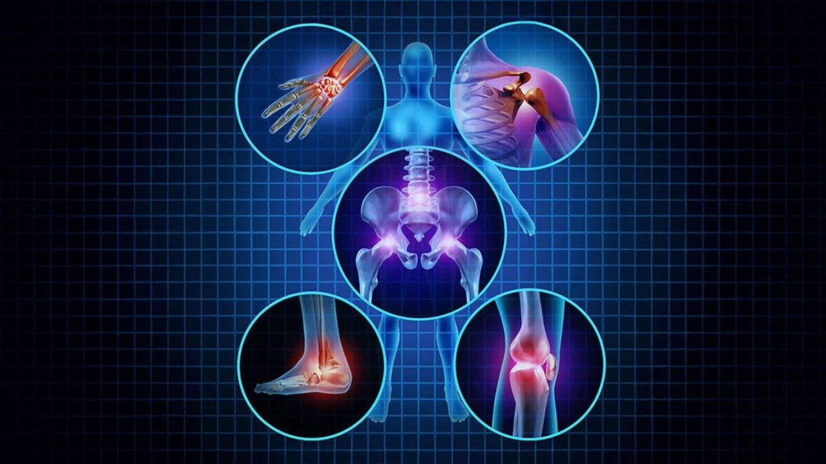 Descubren proteína clave que frena la regeneración del cartílago y cómo revertir el desgaste articular - image 1