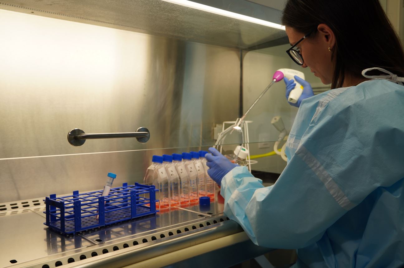 Una investigadora trabajando con células CAR-T en el laboratorio del VHIO.