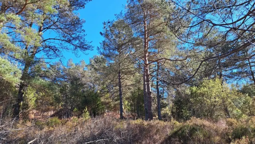 El misterio de la Rigole du Diable en Creuse: la clave contra el fuego