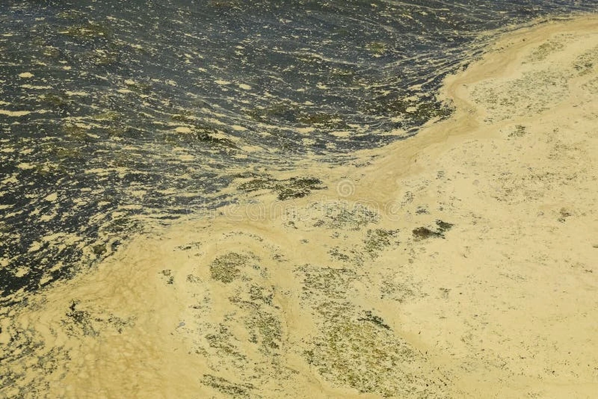 El núcleo de la Tierra guarda el secreto de nuestros océanos: una revolución científica - image 1