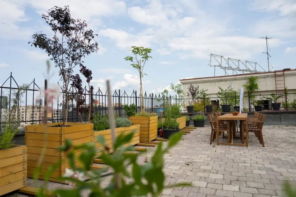 El oasis de Bucarest por Alina Rădeanu – Leoncinidis: ahorra 60% en luz