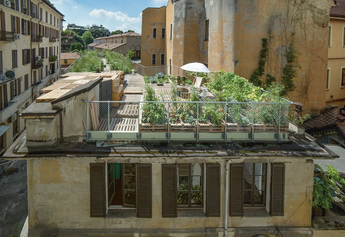 El oasis de Bucarest por Alina Rădeanu – Leoncinidis: ahorra 60% en luz - image 1