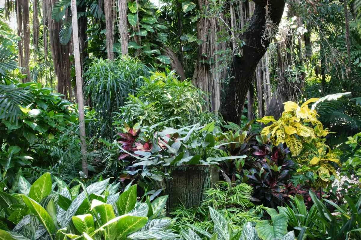 El oasis de Heidi Kelahaara en Rajamäki: 3 trucos para un jardín de lujo - image 1