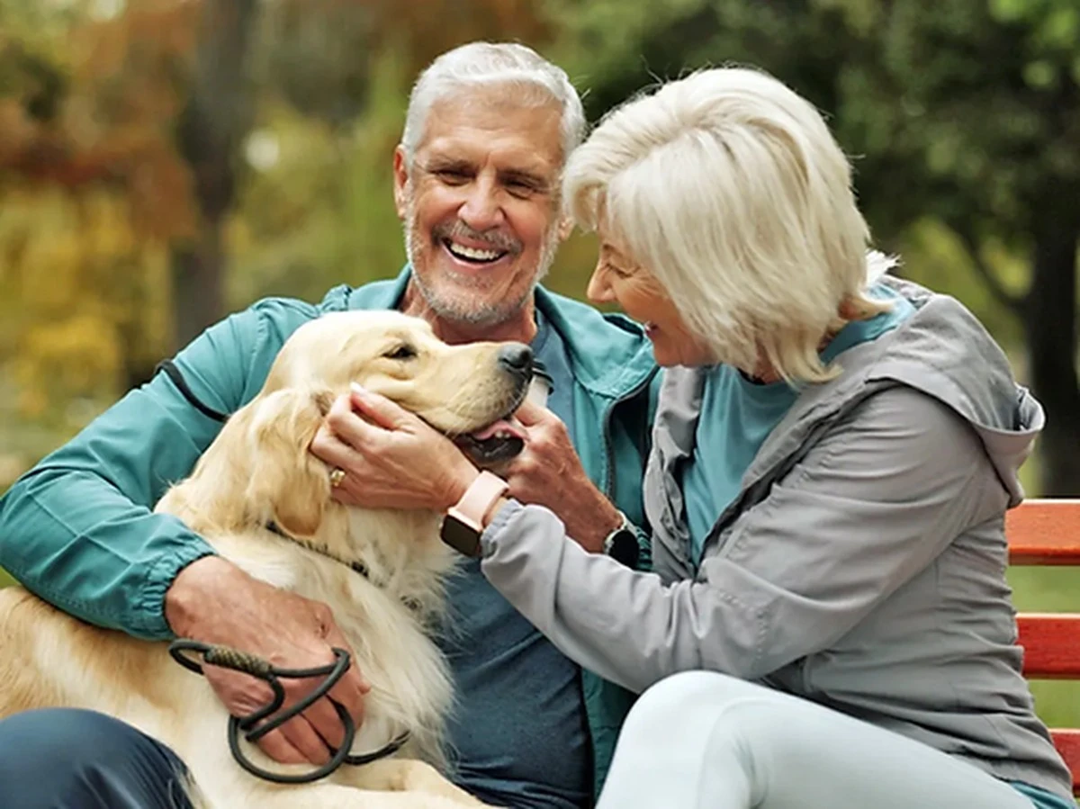 El secreto de los abuelos para conquistar a tu perro en 2 semanas (y que parezcan dos siglos) - image 1