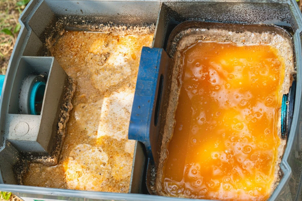 El secreto para eliminar el olor a grasa de tu cocina y mantenerla fresca - image 1