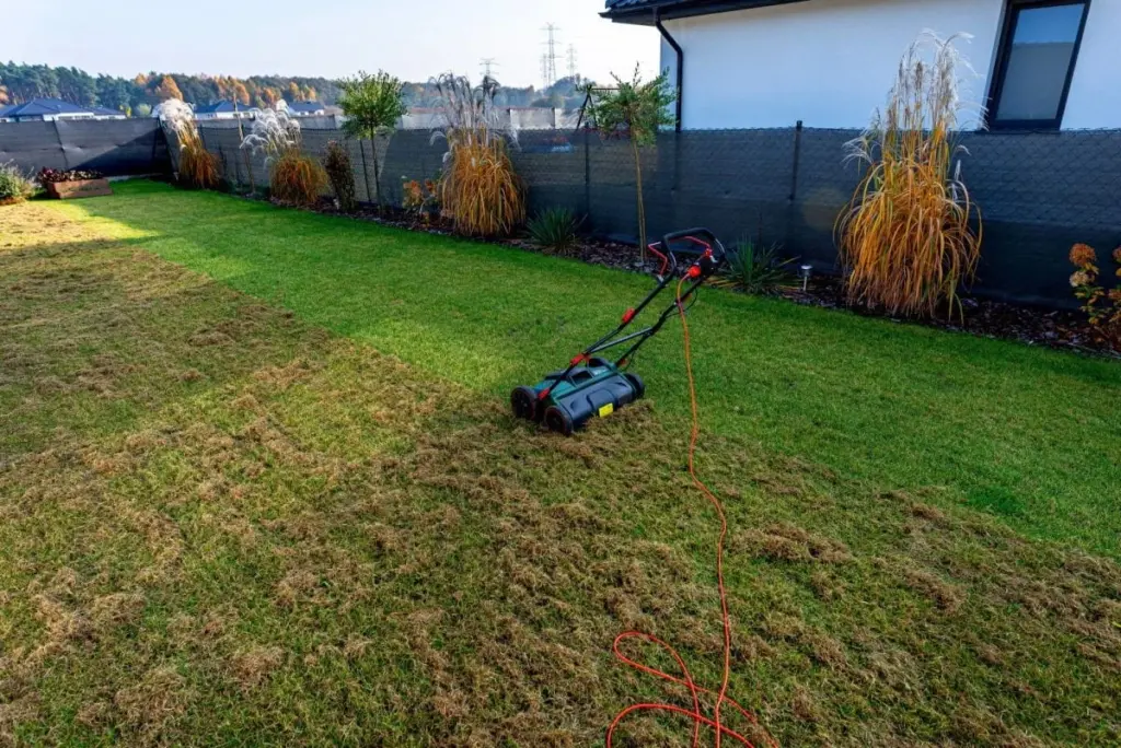 Escarificación de césped: el truco del dedo para un jardín verde en 2026