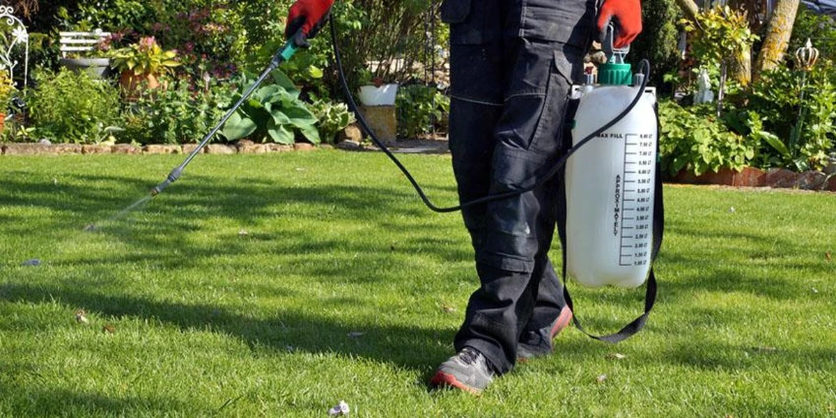 Este producto de limpieza que ya tienes en casa es mejor que el vinagre para eliminar malas hierbas - image 1